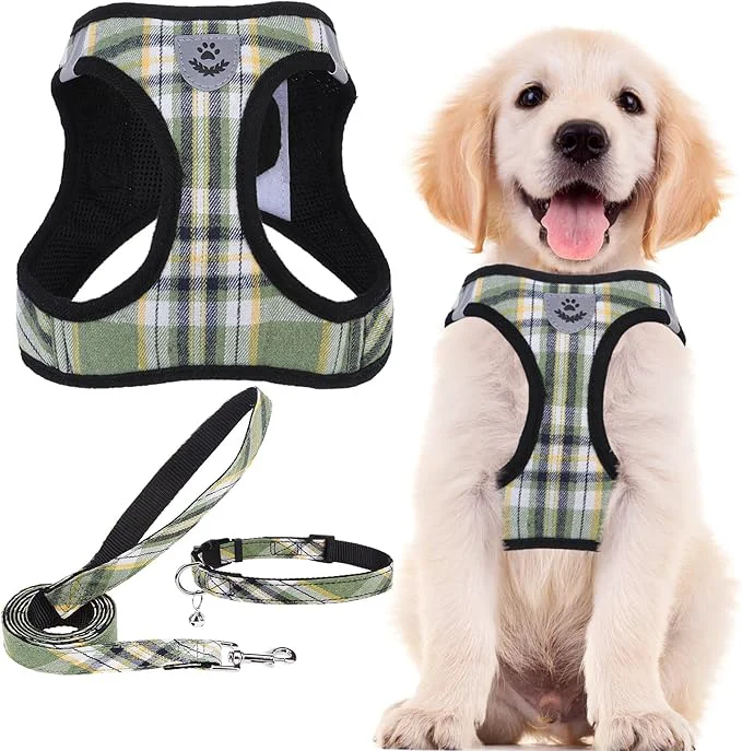 Advanced PUPTECK Adjustable Dog Harness Collar and Leash Set Step in No Pull Pet Harness Minimalist