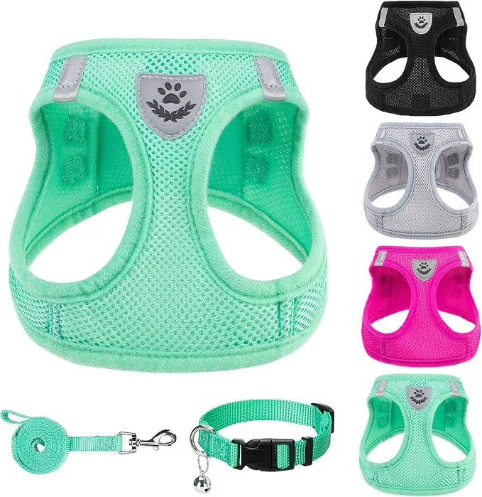 Professional PUPTECK Adjustable Dog Harness Collar and Leash Set Step in No Pull Pet Harness Refined
