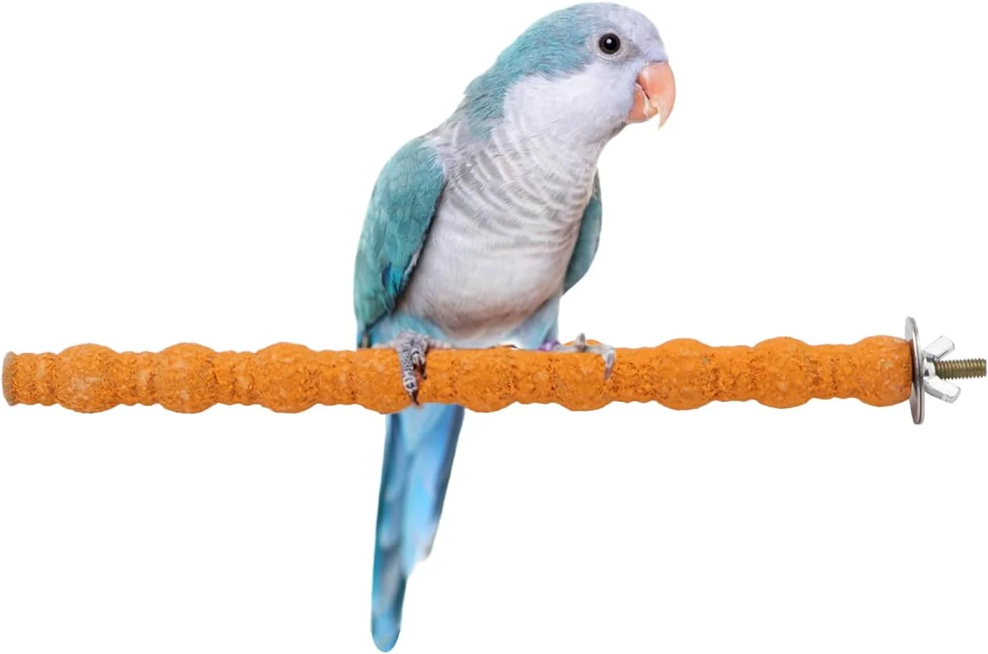 Top-Quality Hypeety Wood Perch Stand Paw Grinding Stick Toy Colorful Pet Bird Cage Stand Platform for Bird Parrot Budgies Parakeet Cockatiels Cage Accessories Random Color 10in 25cm Exclusive