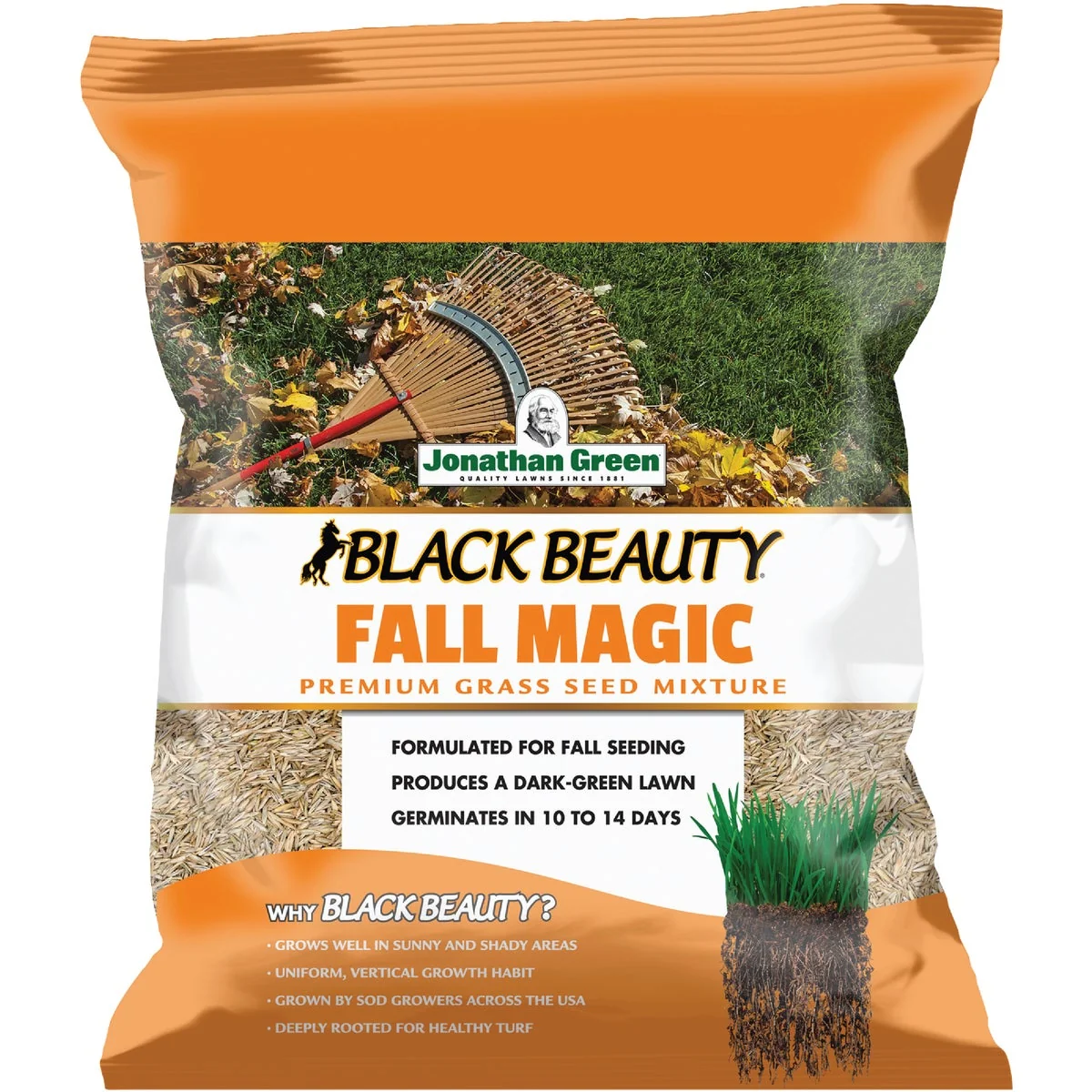 Top-Quality Jonathan Green Black Beauty 3 Lb. 750 Sq. Ft. Coverage Sun Shade Grass Seed Sophisticated