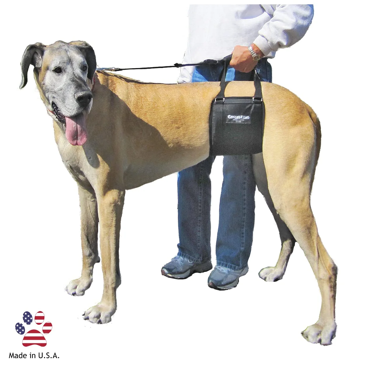 Functional GINGERLEAD Dog Sling Hip Support Harness – Tall Fit for Greyhounds Great Danes Made in USA Reliable