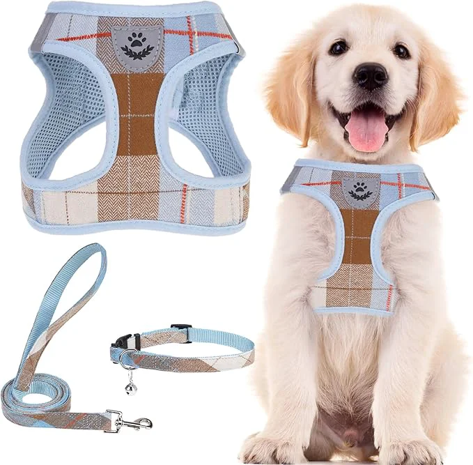 Refined PUPTECK Adjustable Dog Harness Collar and Leash Set Step in No Pull Pet Harness Green