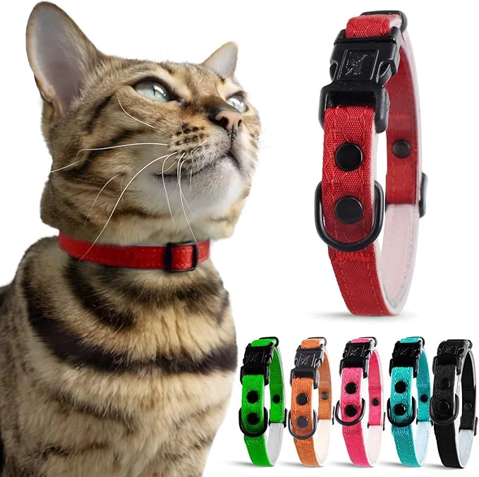 Carefully Designed OutdoorBengal Red Breakaway Kitten Collar Green
