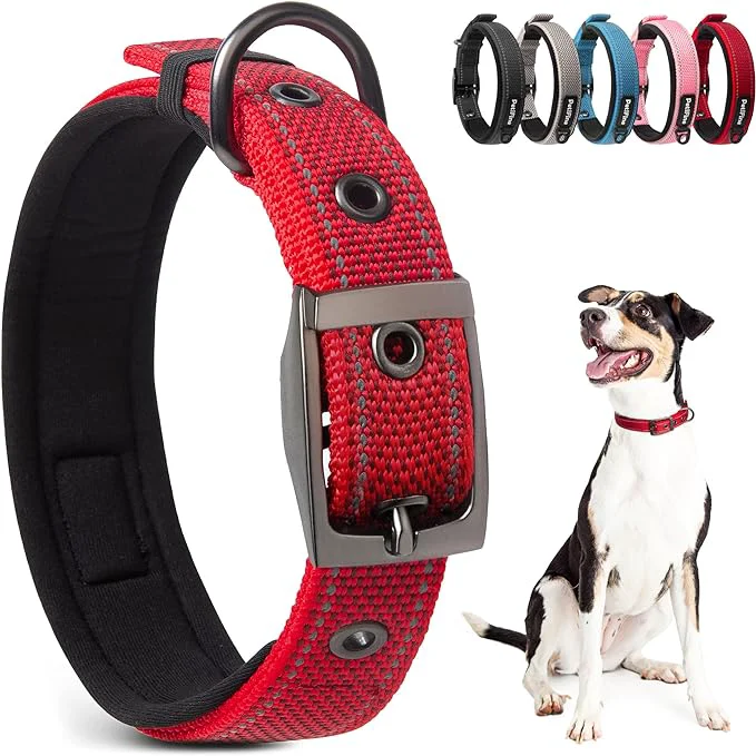 World-Class PetiFine Dog Collar with Metal Buckle Heavy Duty Dog Collar with Soft Neoprene Original