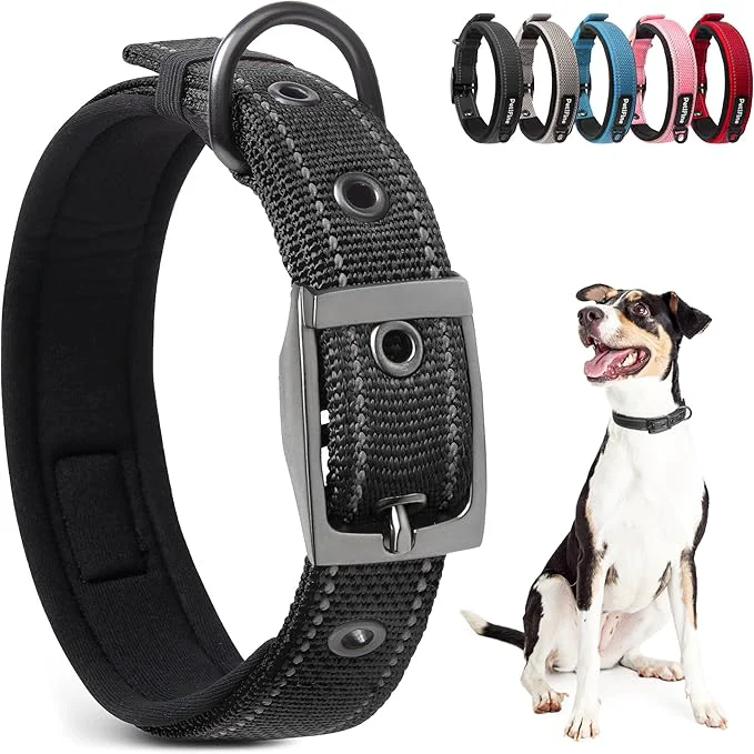 Quality PetiFine Dog Collars for Medium Dogs Neoprene Padded and Adjustable Trendy