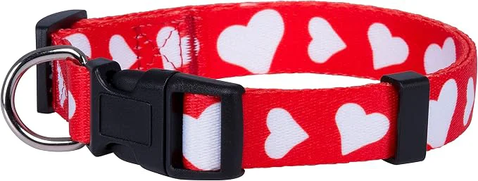 Contemporary Native Pup Valentine s Dog Collar- Valentines Day Pet Collars- Valentine Girly Efficient