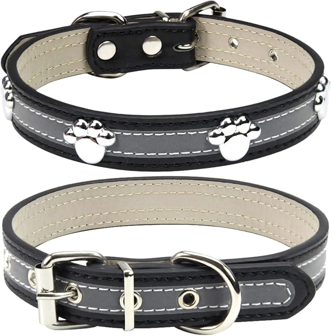 Verified PETCARE Reflective Dog Collar Selected