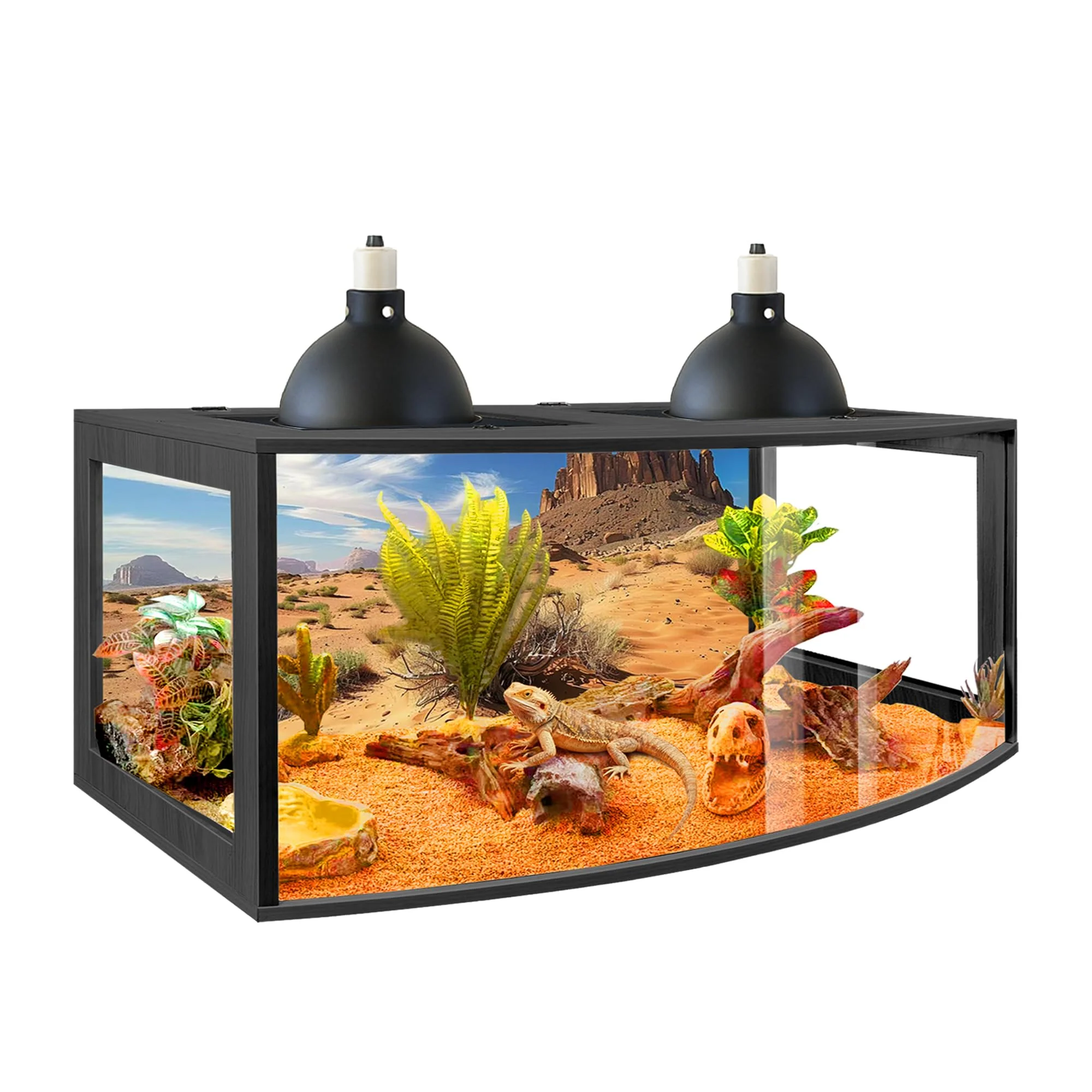 Refined PROLEE Bearded Dragon Tank — 80-Gallon Curved Front Reptile Habitat 48-Inch Length with 3-Side Clear Acrylic Sustainable