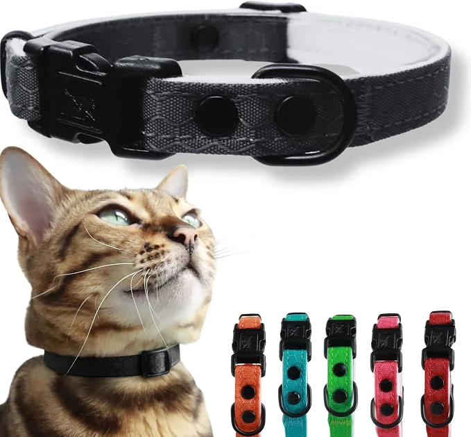 Eco-Friendly OutdoorBengal Black Breakaway Kitten Collar Effective