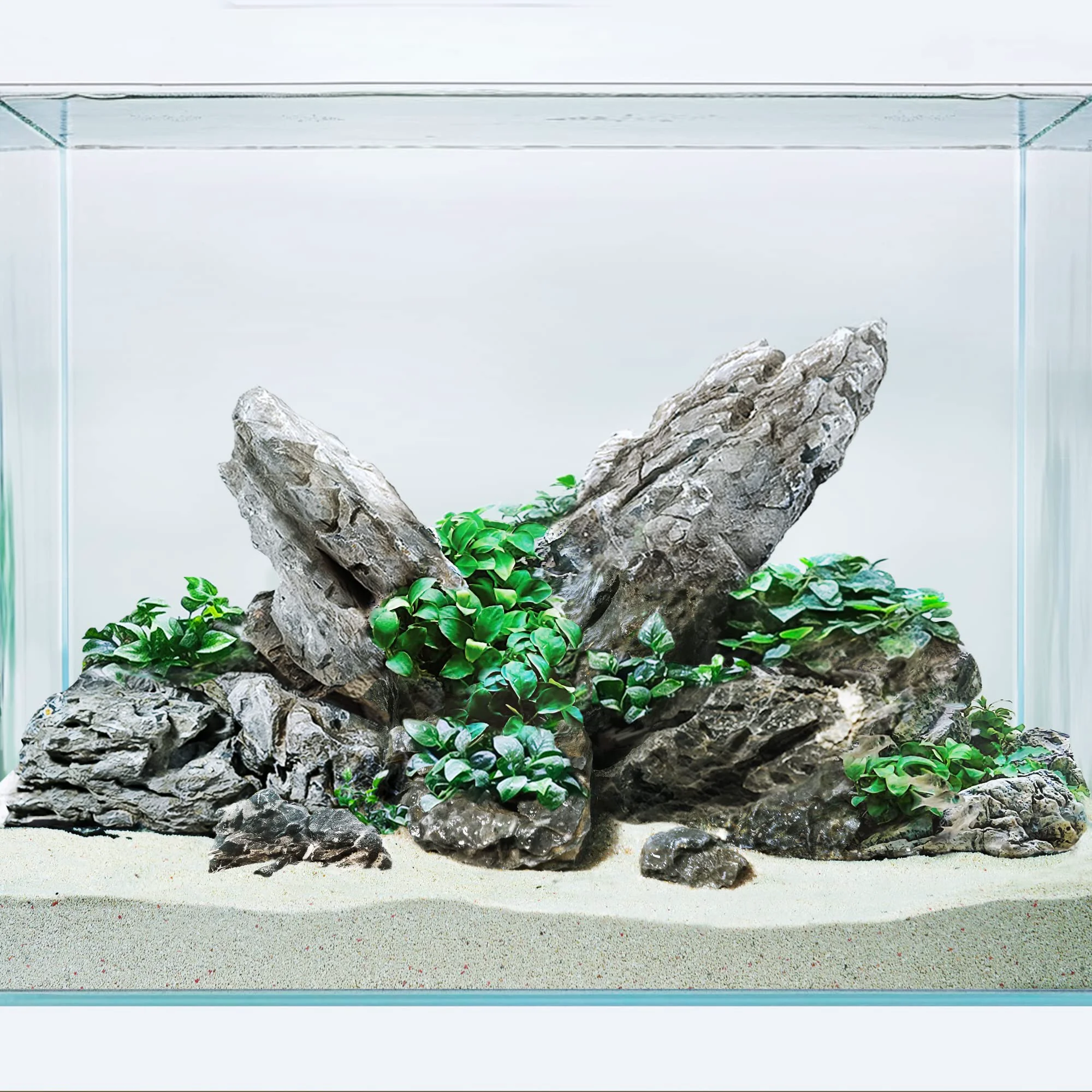 Consistent LANDEN Seiryu Stones – Natural Rocks for Aquarium Aquascaping 80L 36lbs 3–11in World-Class