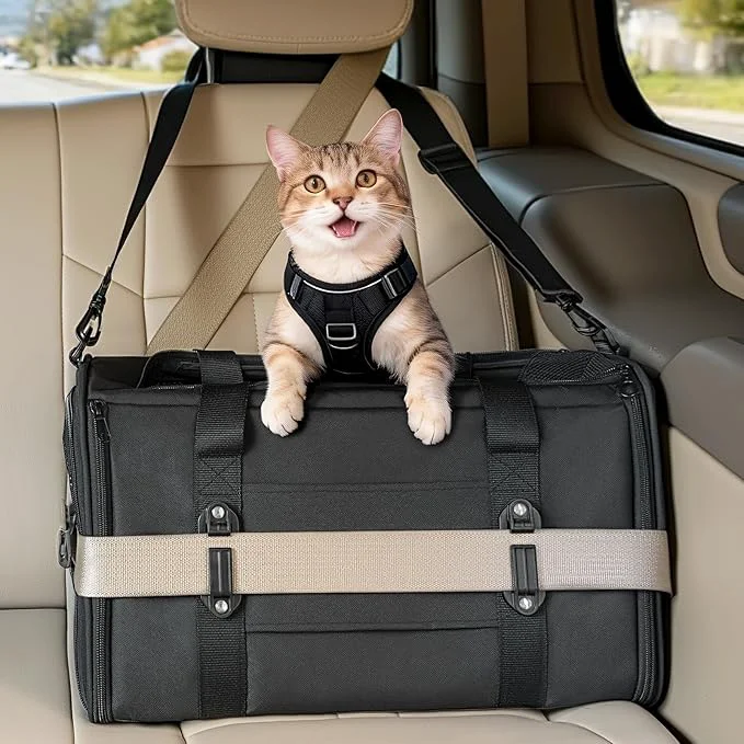 Effective PETSFIT Large Cat Car Carrier Trusted