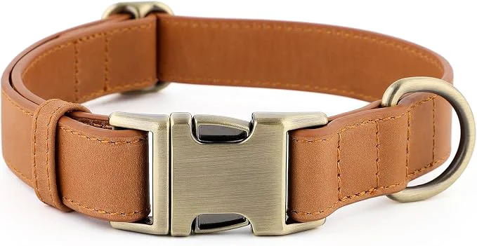 Stylish Plutus Pet Leather Dog Collar – Adjustable Pet Collar Selected