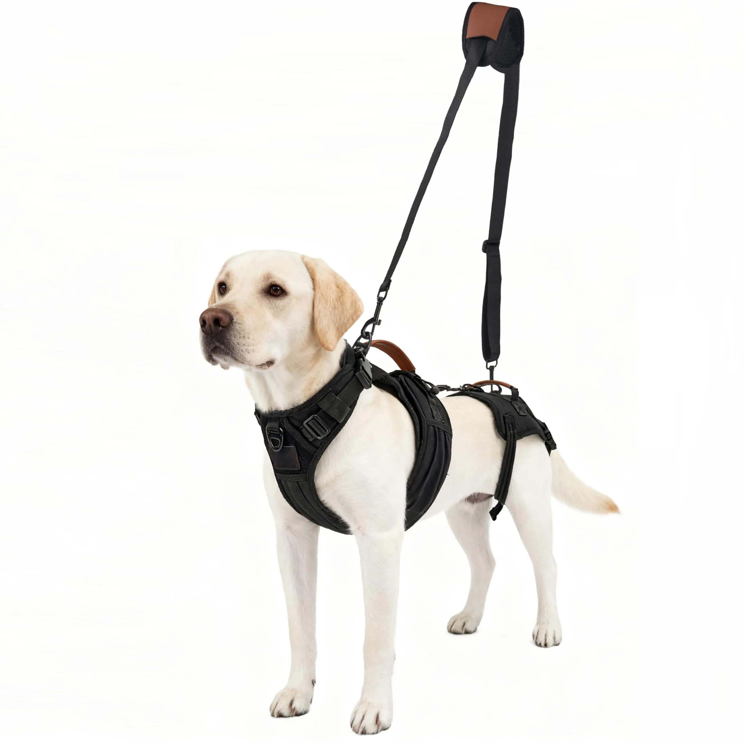 Exclusive Moysoon Dog Lift Harness Small – 2-in-1 Full-Body Support Sling for Dogs up to 27 lbs Effective