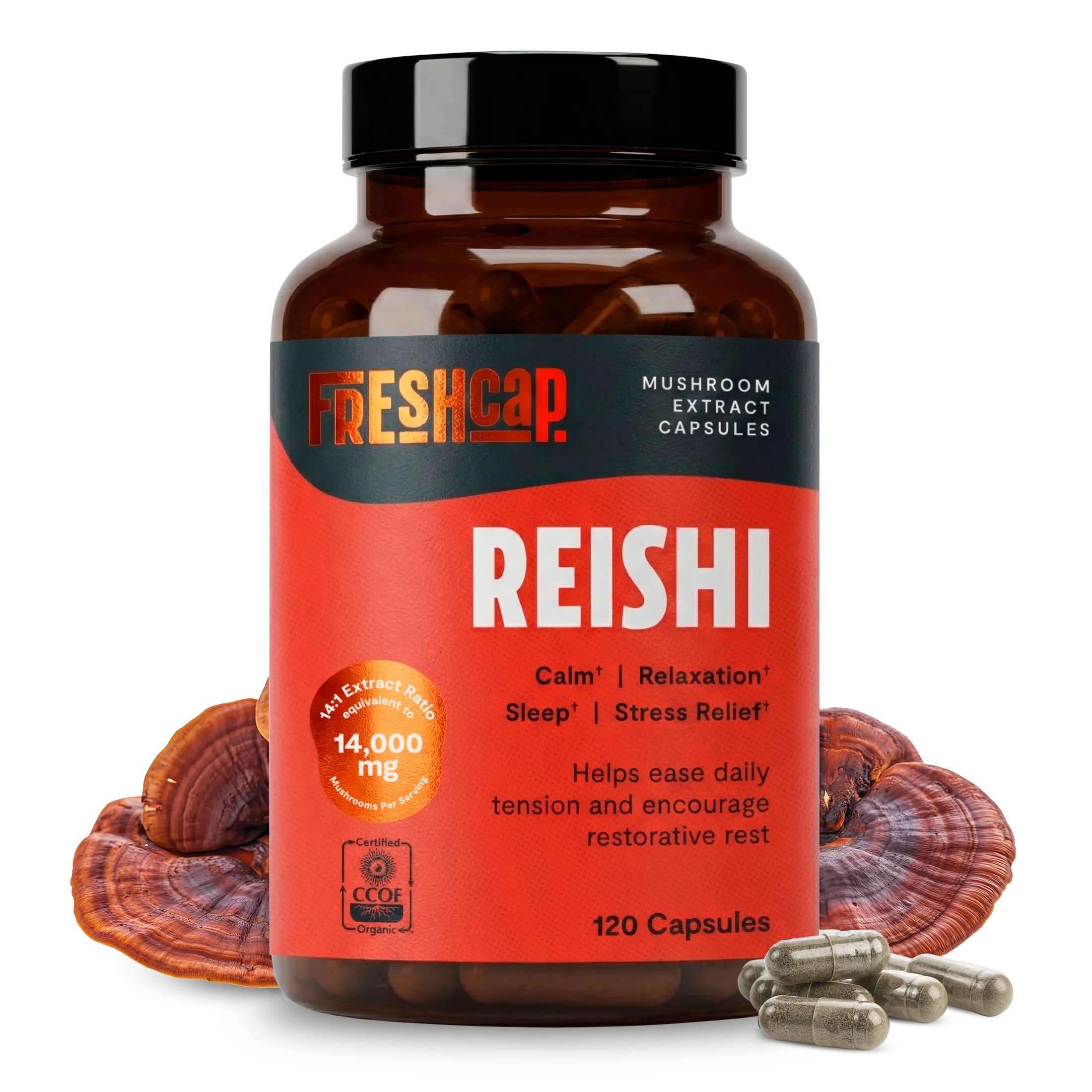 Dependable Organic Reishi Mushroom Capsules Fashionable