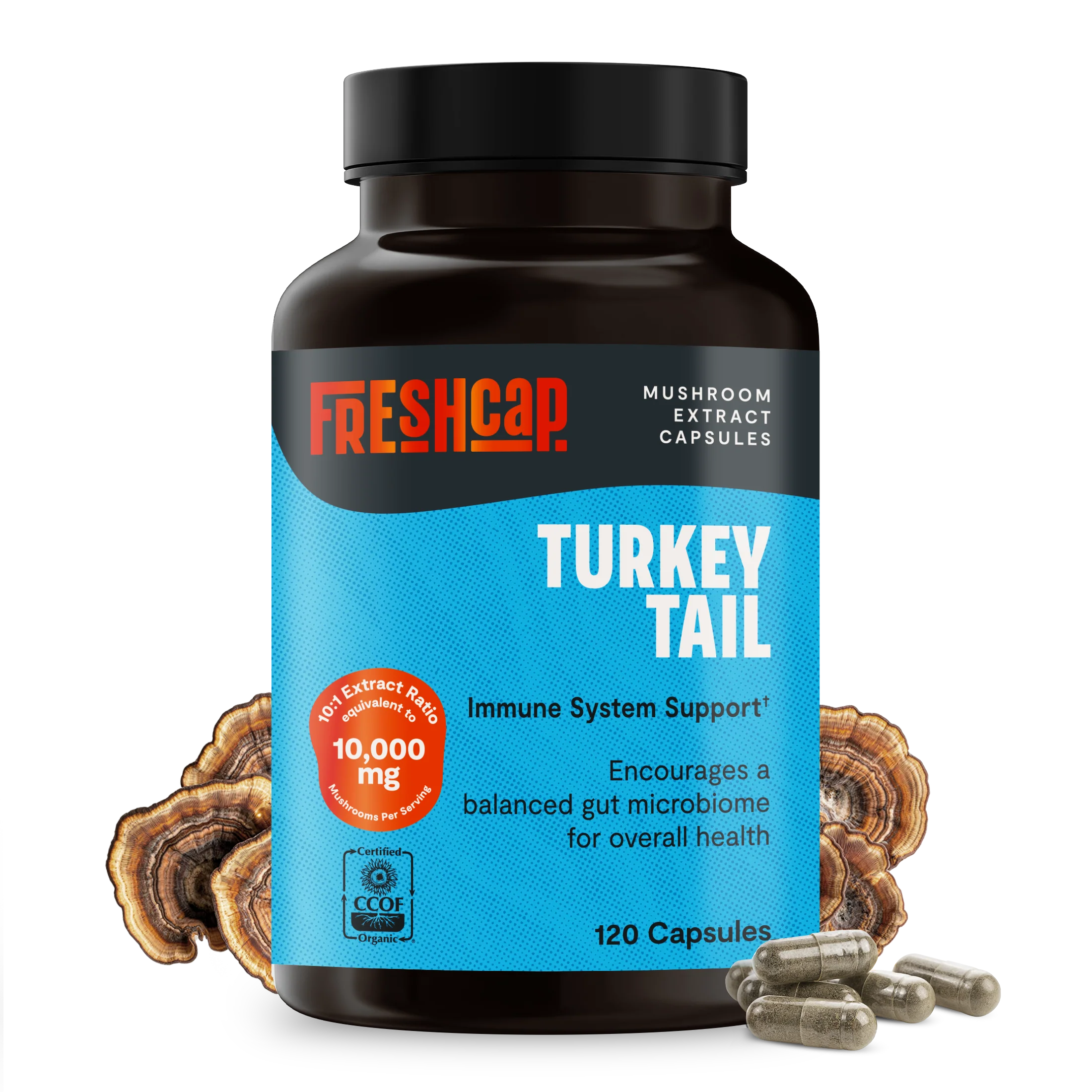 Secure Organic Turkey Tail Mushroom Capsules Fashionable