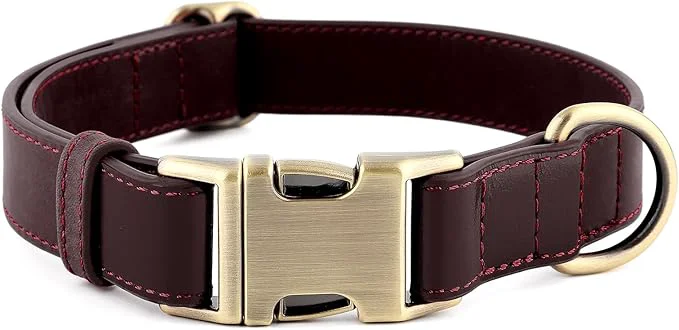 Comfortable Plutus Pet Leather Dog Collar – Adjustable Pet Collar Exclusive