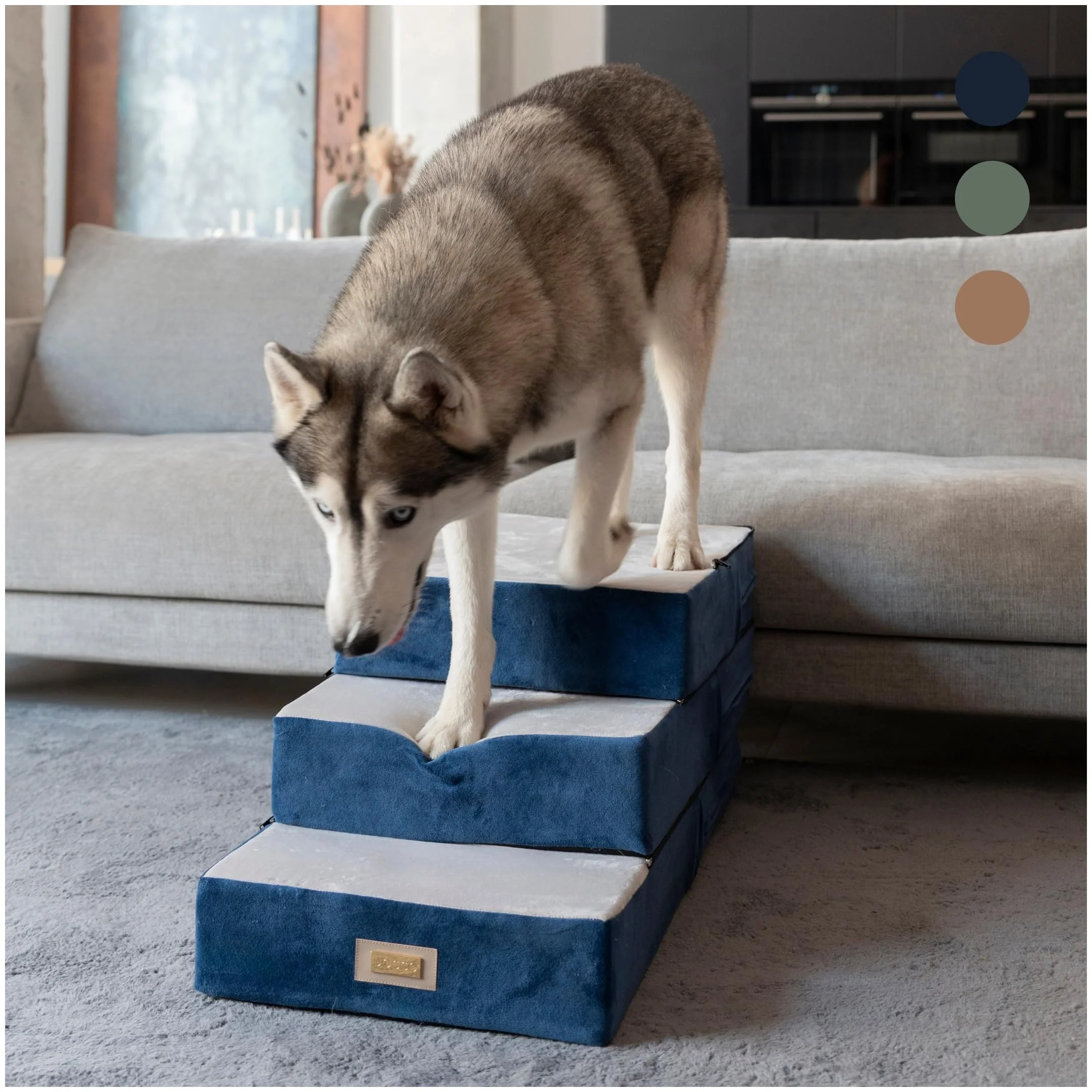 Convenient DOGGO Selection All-in-One Adjustable Dog Stairs – 5-Step Non-Slip Pet Ramp for Small to Medium Dogs Blue Enhanced