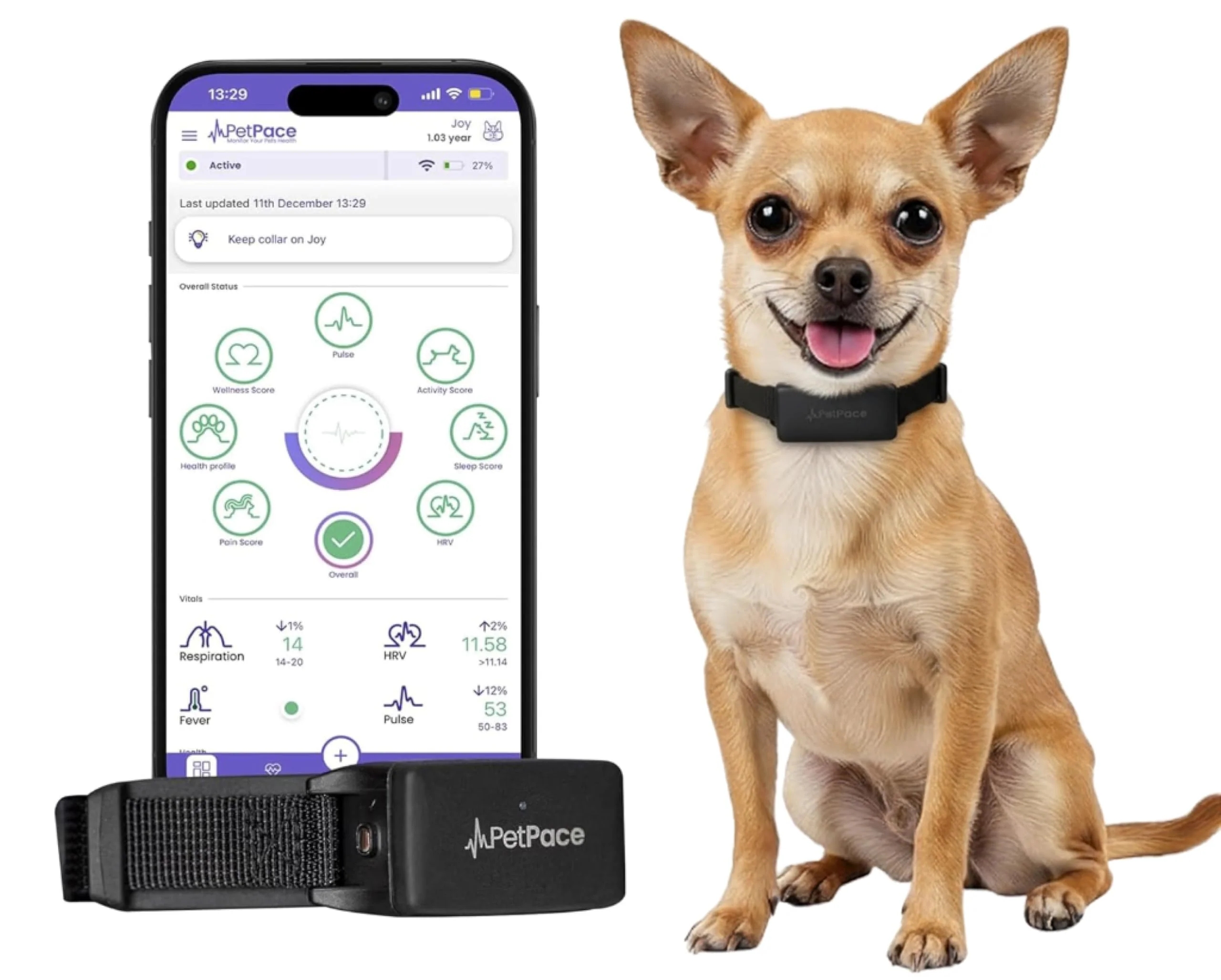 Relaxed PetPace V3.0 Dog Health Monitor – AI Smart Collar with 24 7 Vital Signs GPS Telehealth Watch Sync Small Natural