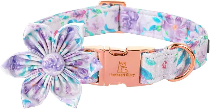 Breathable Lionheart Glory Purple Dog Collar Versatile