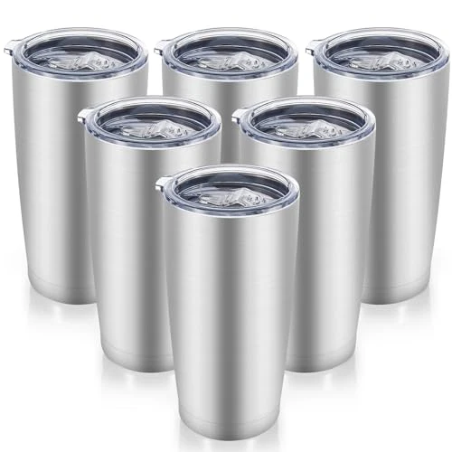 Classic 20 oz Tumblers Bulk Stainless Steel Tumbler with Lid 6 Count Healthy