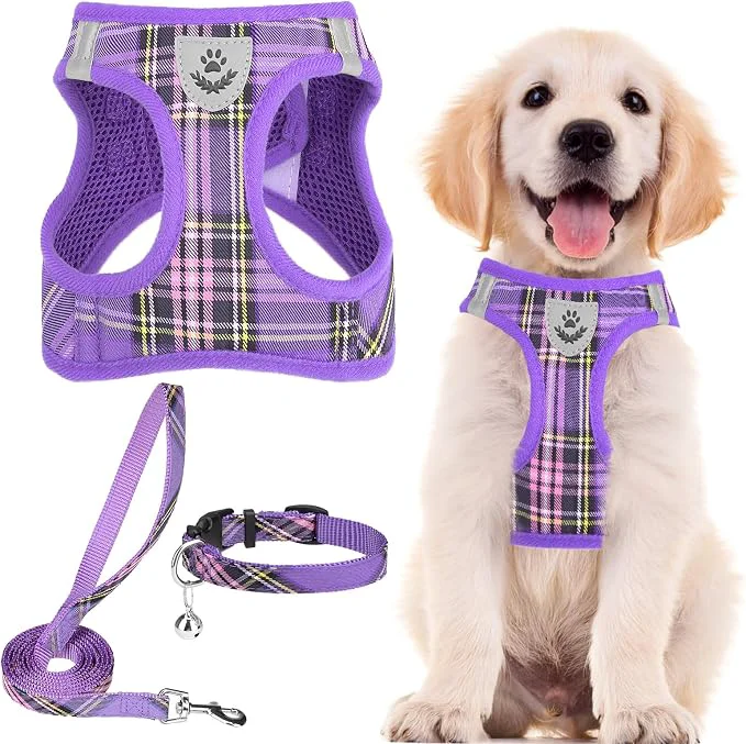 Specialty PUPTECK Adjustable Dog Harness Collar and Leash Set Step in No Pull Pet Harness Organic