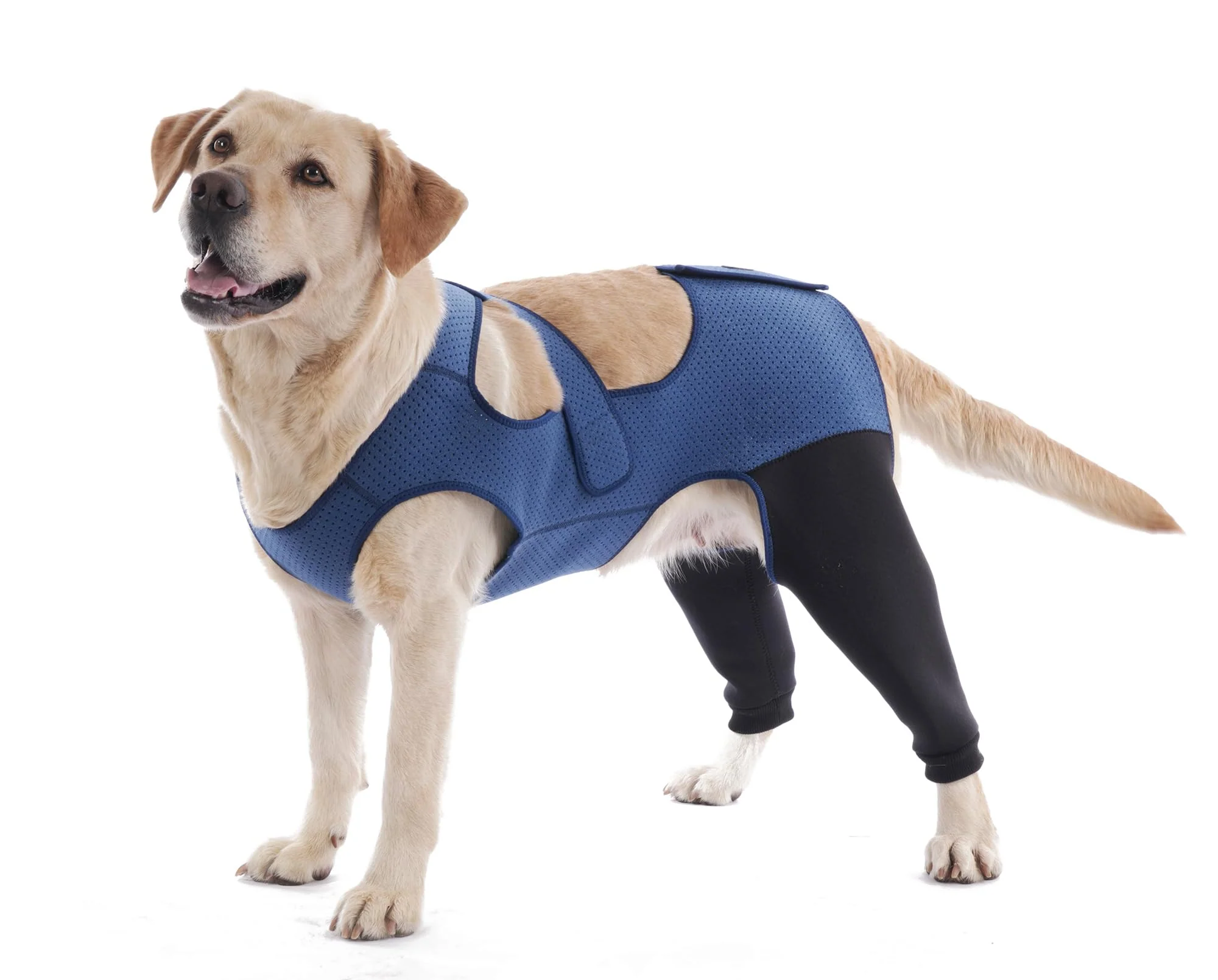 Sustainable Yoneba Dog Hind Leg Recovery Sleeve – Breathable Adjustable Secure XLarge Flexible