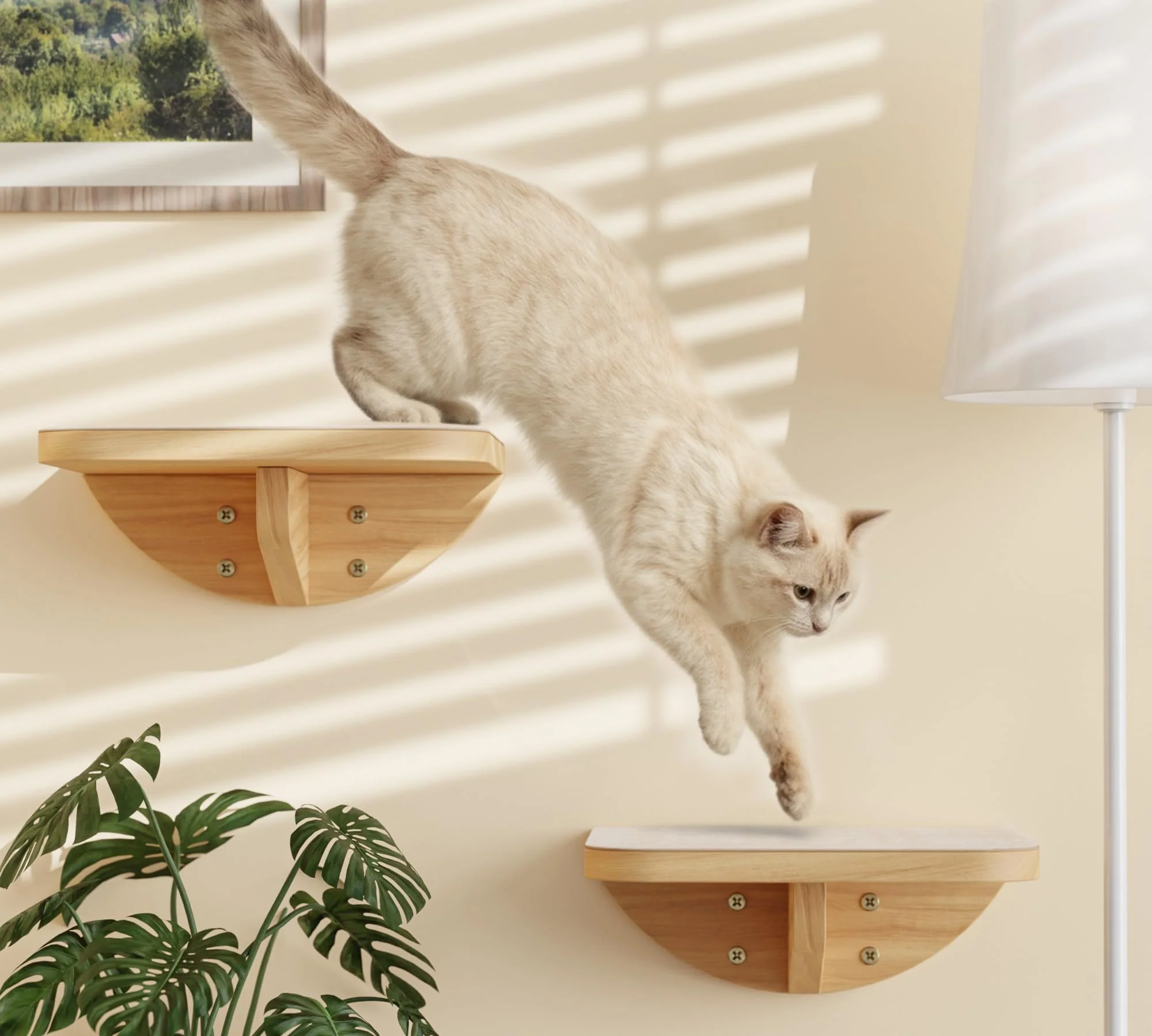Effective Wall Mounted Cat Steps 2 Pack – Square Wood Shelves with Felt Cushions PELUOMOZ Powerful