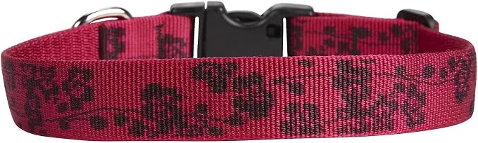 Lightweight LupinePet 20252 s 1 Plum Blossom 12-20 Adjustable Collar Durable