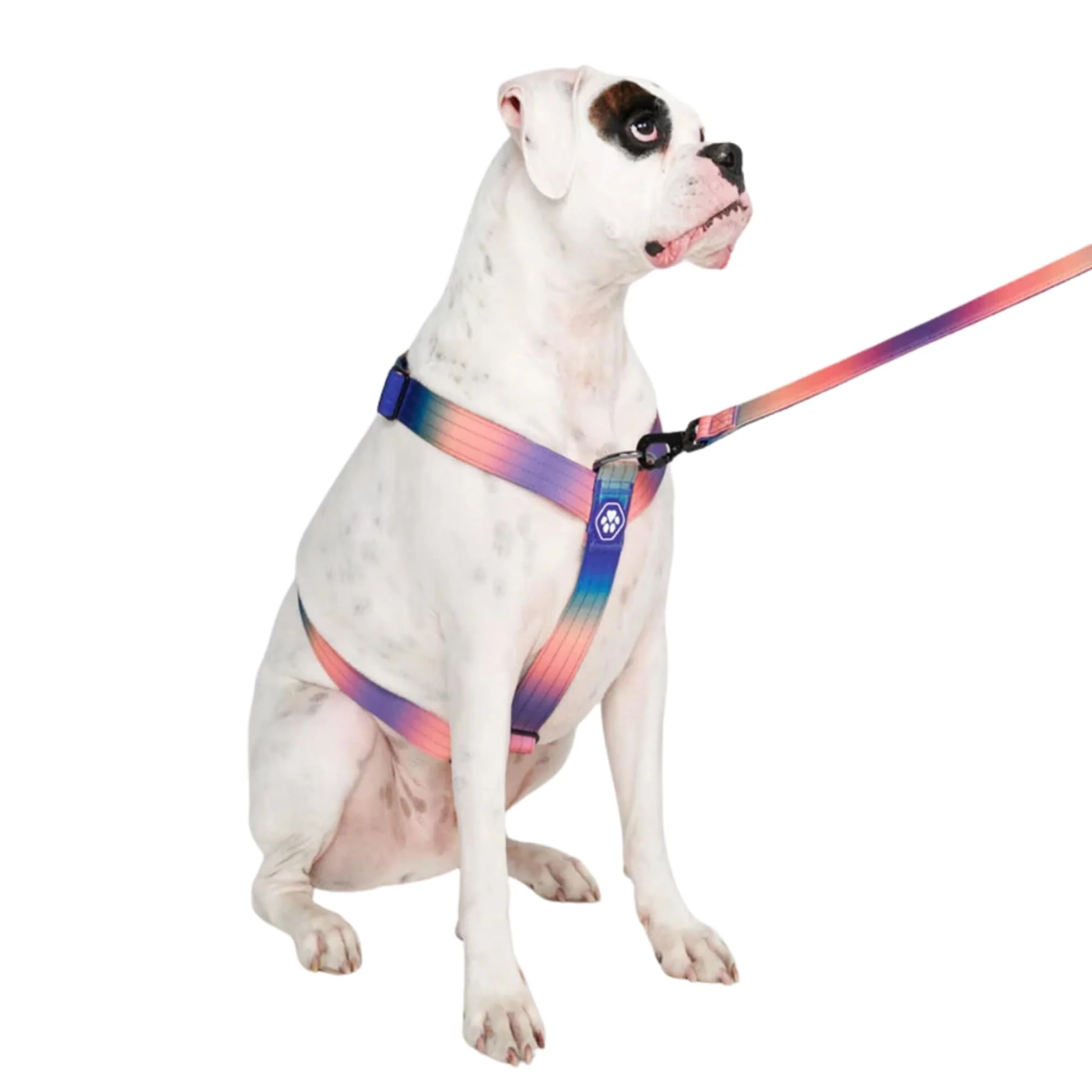 Easy-to-Use Spark Paws No Pull Harness for Large Dogs – Heavy Duty Adjustable Kaleidoscope L Fast
