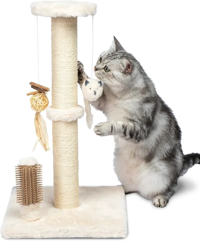 Organic Pet Supplies Catify Cat Scratcher Fun Interactive Scratchers Claw Safe Trendy