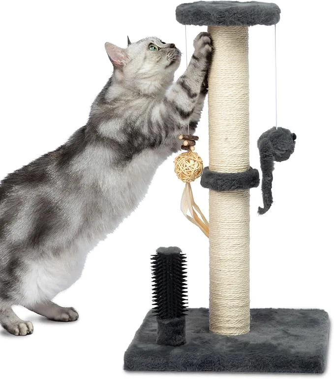Classic Pet Supplies Catify Cat Scratcher Fun Interactive Scratchers Claw Safe Reliable