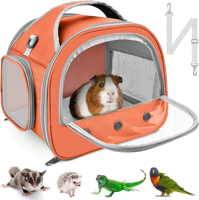 Eco-Friendly Bissap Bearded Dragon Travel Carrier Portable Guinea Pig Carrier Bag Tortoise Fashionable