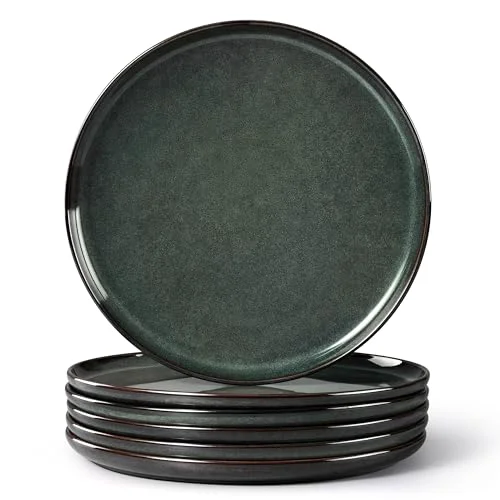 Functional Ceramic 10.43 Inch Dinner Plates Set of 6 Breathable