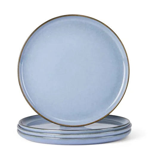 World-Class 4 Piece Stoneware Dinner Plates Set Proven