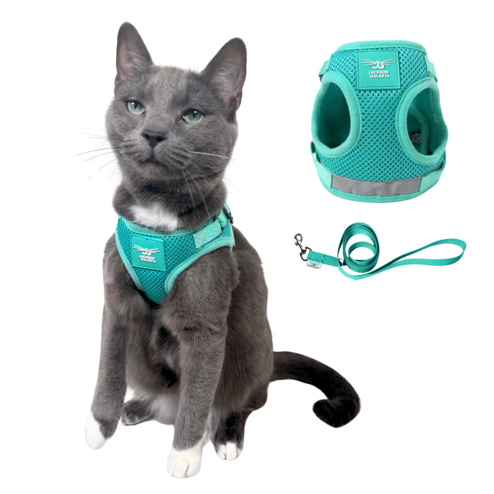 Environmentally Friendly Travel Cat x Jackson Galaxy Harness Leash Set for Kittens Your Cat Backpack Pure