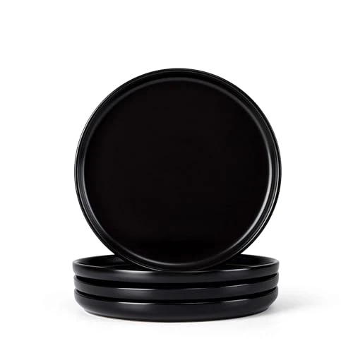 Certified 4 Piece Stoneware Small Dinner Plates Set Dependable
