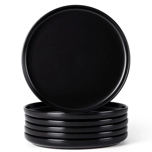 Recyclable 6 Piece Stoneware Dinner Plates Set Easy-to-Use