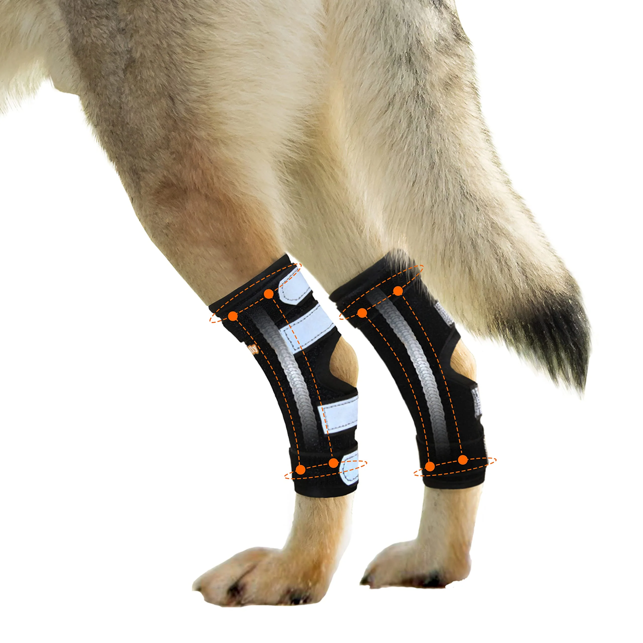 Premium Material NeoAlly Rear Leg Hock Brace for Large Dogs – Metal Spring Strips Secure Fit Professional