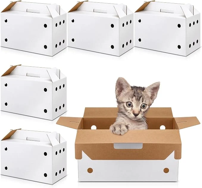 Modern 6 Pack Cardboard Pet Carrier 17.5 x 8.66 x 12.2 Inches Small Animal White Puppy Breathable