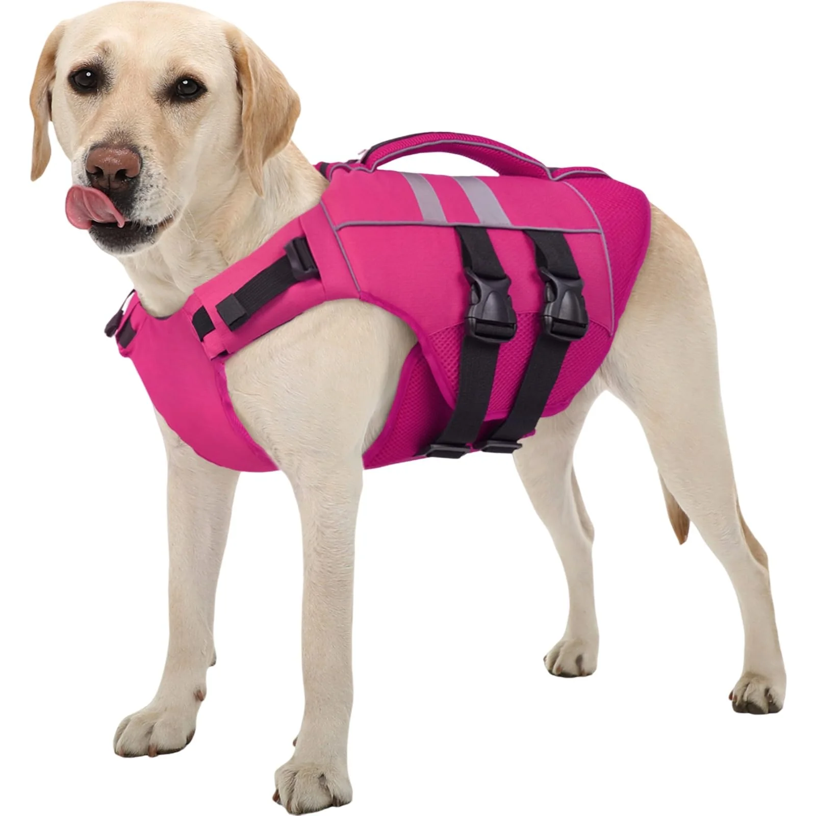 Quality Kuoser Dog Life Jacket Large – High Floatation Water Vest with Rescue Handle for Swimming Detailed