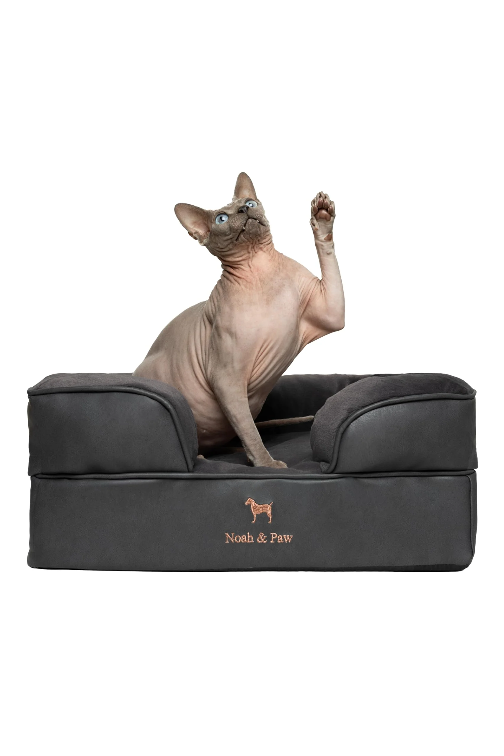 Pure NOAH PAW Small Dog Bed 20x15x8 in Orthopedic Memory Foam with Cooling Gel • Waterproof Washable Covers Fast