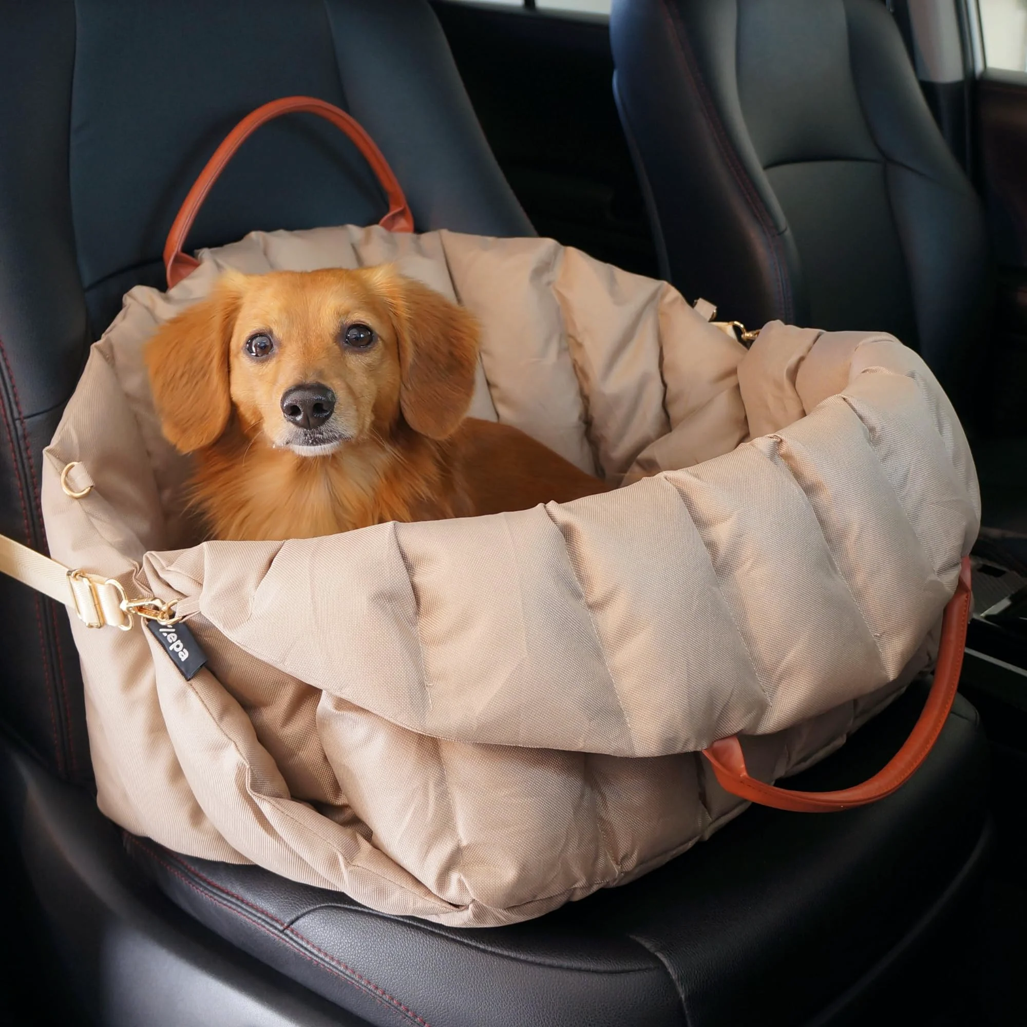 Organic ZEPA Dog Car Seat for Small Dogs Washable Oxford Adjustable Straps Clip-On Leash Travel Carrier Bed Up to 25 Lbs Professional