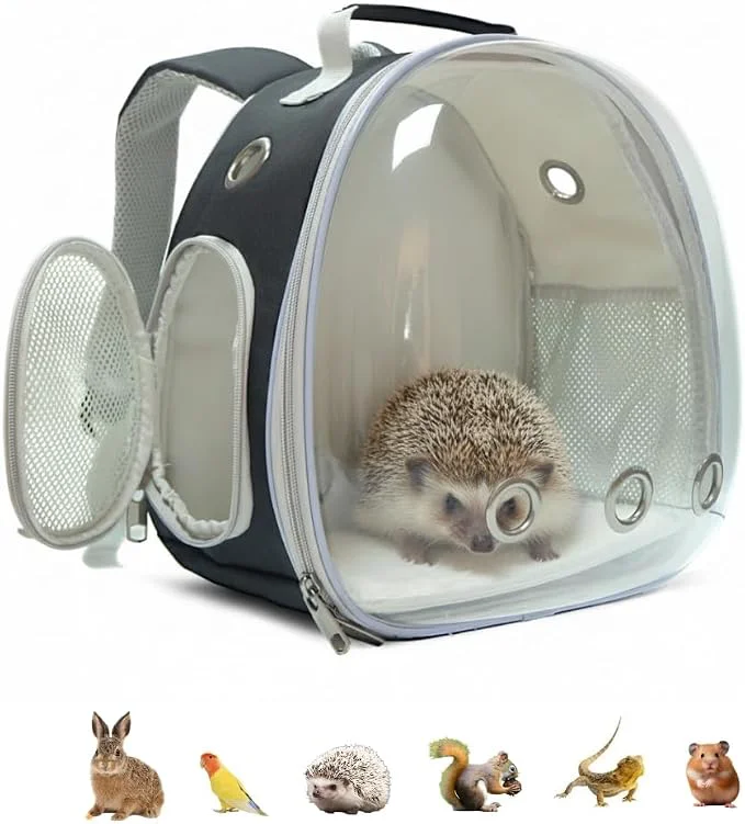 Solid Small Animal Carrier Guinea Pig Backpack Transparent Breathable Backpack Carefully Designed