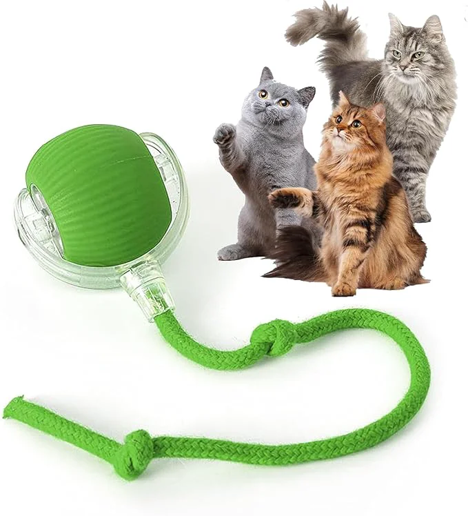 Sustainable Rocfish Durable Interactive Cat Toys User-Friendly