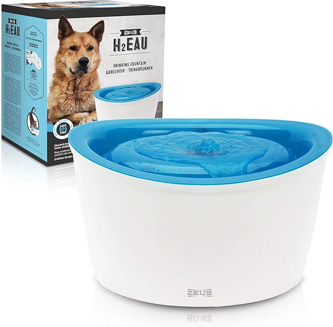 Secure Zeus Fresh Clear d Dog and Cat Water Dispenser Large Drinking Water Fountain with Purifying Filter 6L Capacity 1 Count Pack of 1 About ThisOverview Artisan