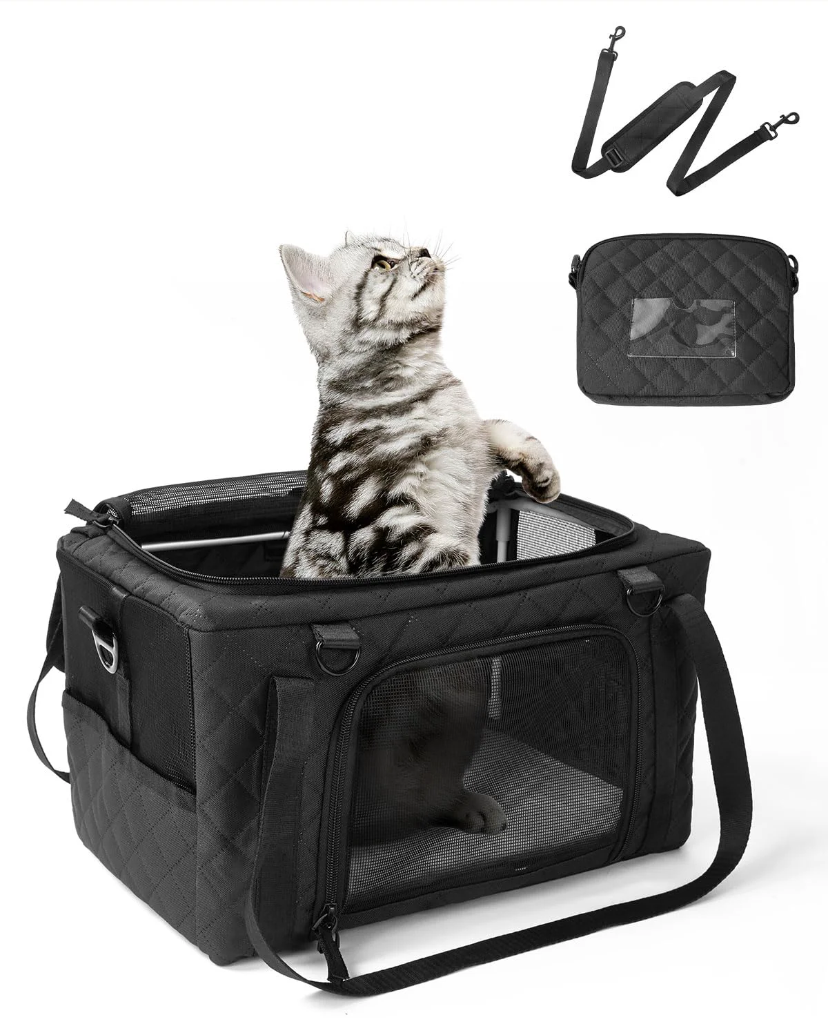 Solid PETUX Airline Cat Carrier for Small Cats – Underseat Collapsible 16 x 10 x 9.5 in Smooth