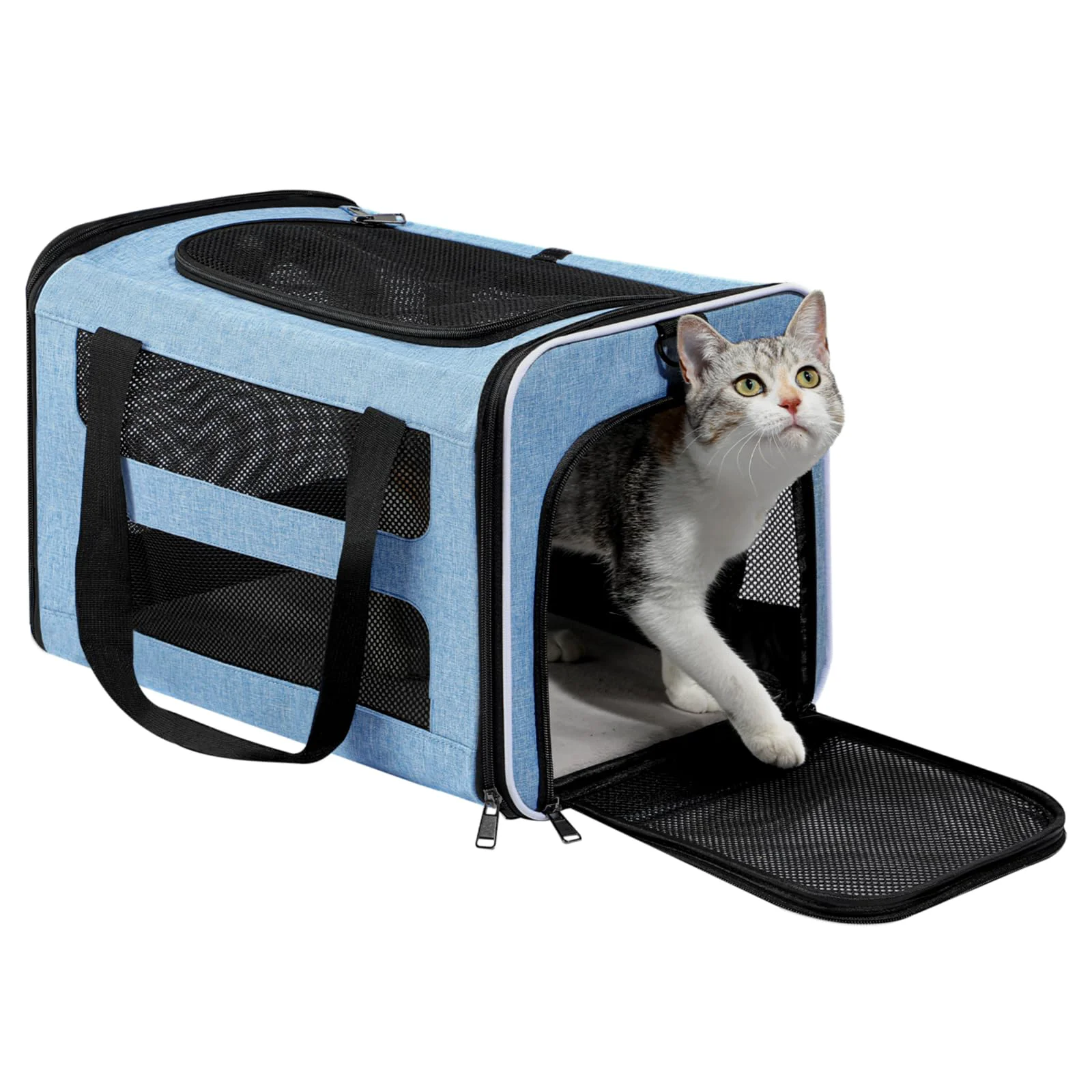 Organic PAPZER Cat Carrier Soft-Sided 18x11x11 in — Flight-Ready Travel Bag for Medium Cats Small Dogs Unique