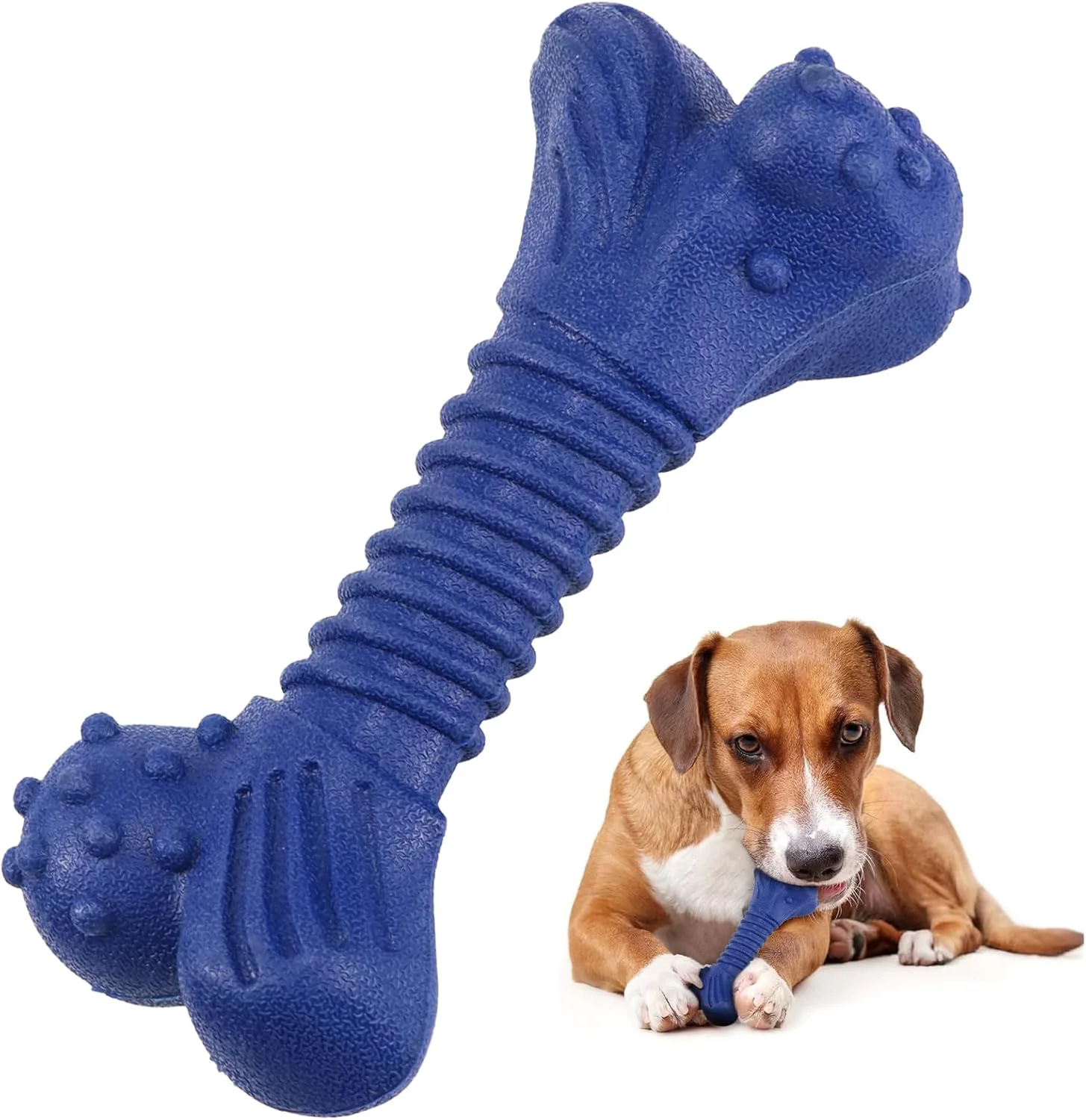 Quality Urban Durable Rubber Chew. Focused chewing relief for energetic dogs who need structure. Soft