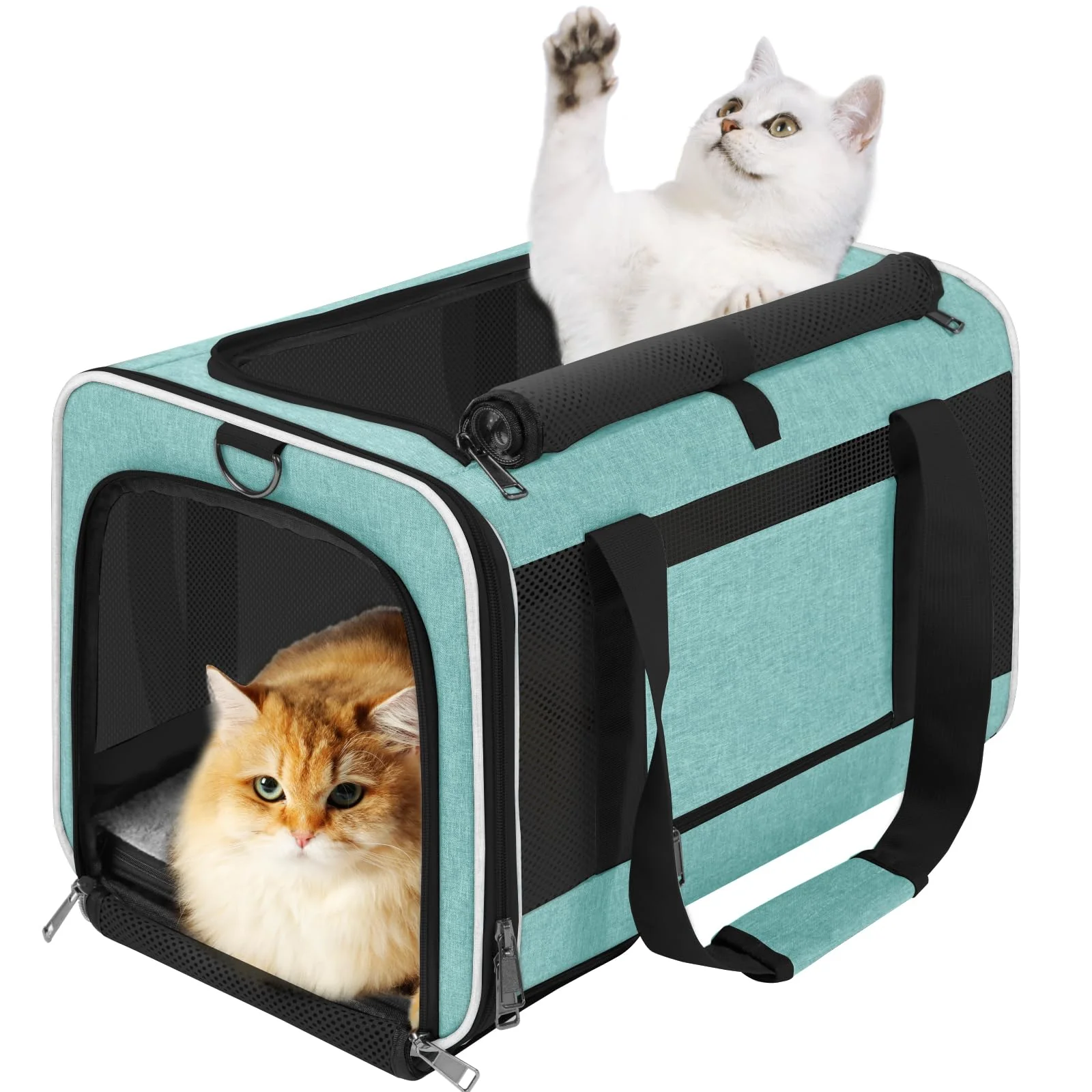 Stylish GAPZER Soft Cat Carrier Large 20 lbs – Teal Aqua Travel Pet Crate Powerful