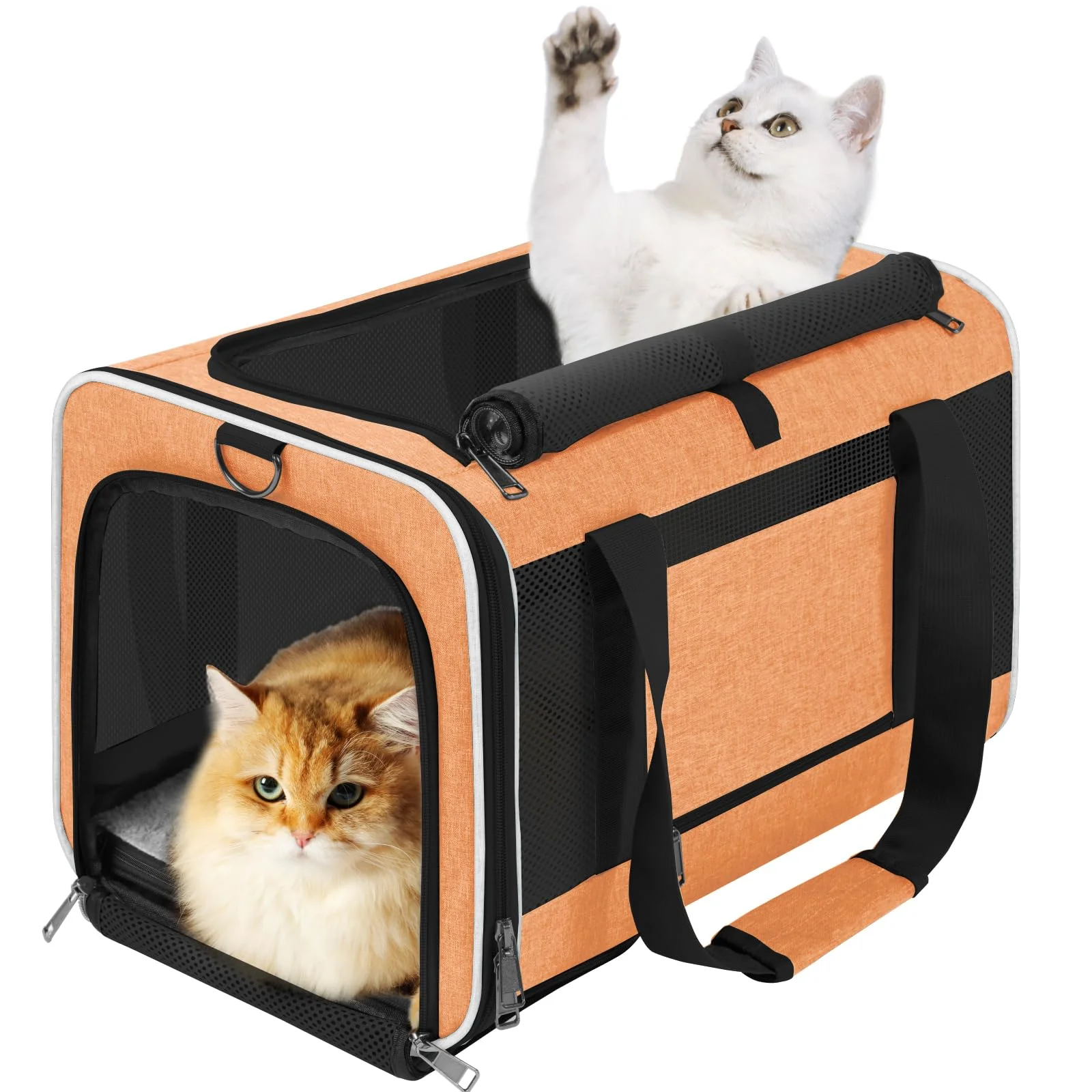 Quality GAPZER Large Cat Carry Bag – 20 lb Pet Travel Carrier with 5-Sided Mesh and Top Opening Fine Crafted